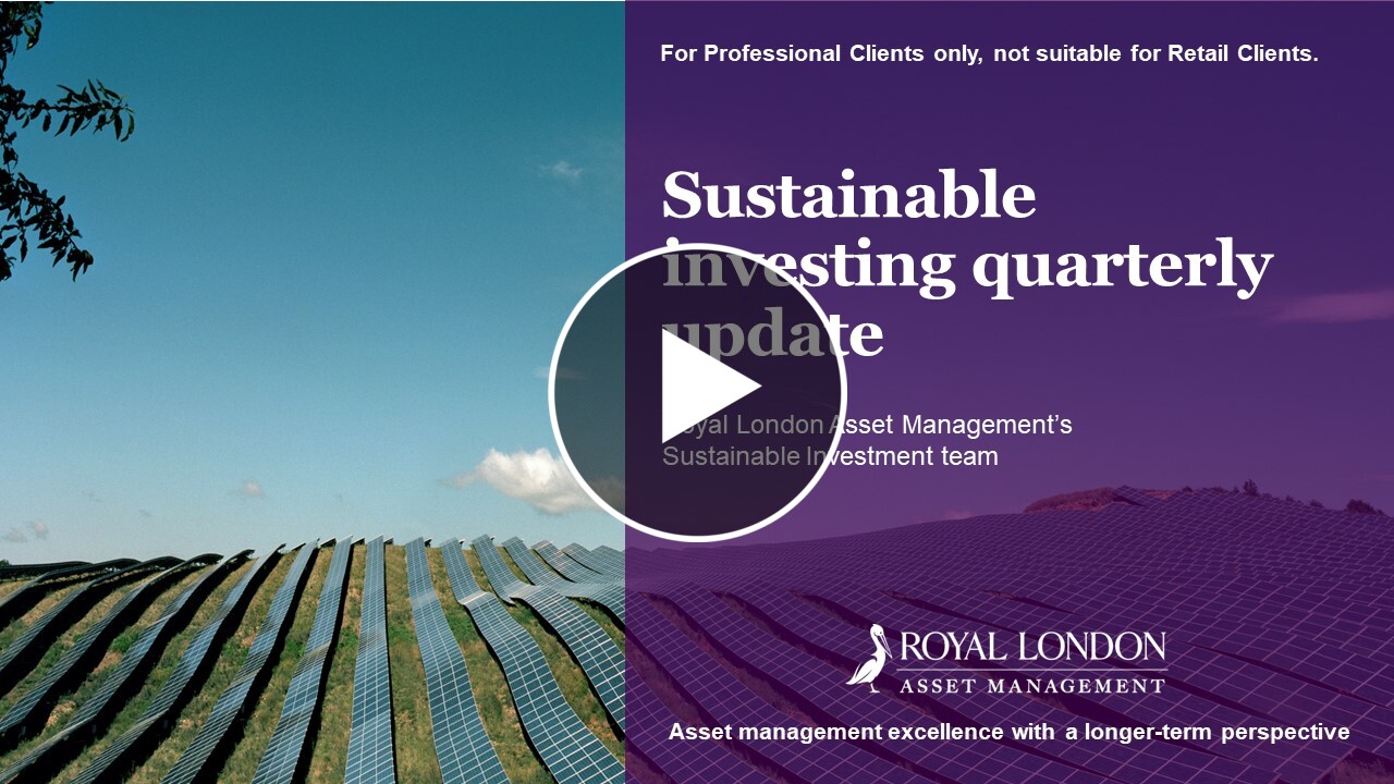 Click on the image to launch the sustainable investing quarterly webinar